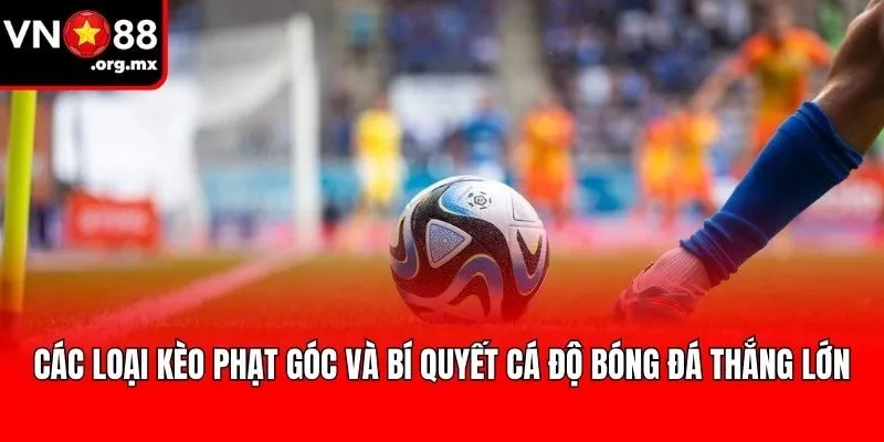 Các Loại Kèo Phạt Góc Và Bí Quyết Cá Độ Bóng Đá Thắng Lớn