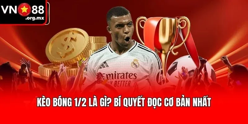 Kèo bóng 1/2 là gì? Bí quyết đọc cơ bản nhất